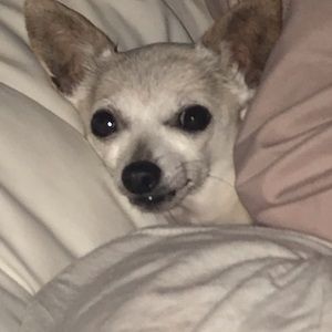 Meet your Posher, Brenna